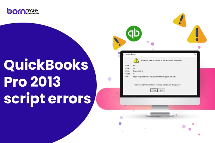 QuickBooks Pro 2013 Script Errors